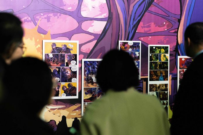 Festival d'Angoulême, archives
