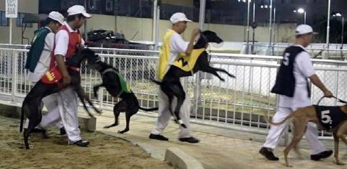 Facebook Ban Bloodsports