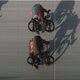 Eén pixel bedraagt verschil tussen Merlier en Ewan in UAE Tour