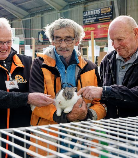 Cavia’s, konijnen en vogeltjes: dierenshows hebben het niet gemakkelijk