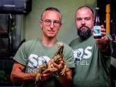 Drie dierenorganisaties krijgen van Brugge officiële erkenning, waaronder ook SOS Reptiel in Ichtegem 