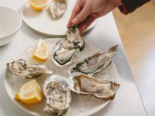 Slurpen uit een schelp: hier eet je oesters in Nijmegen