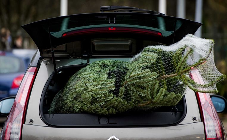 Een echte kerstboom mag u straks wel uit het tuincentrum mee naar huis komen, een gemaakt uit kunststof niet. Beeld ANP
