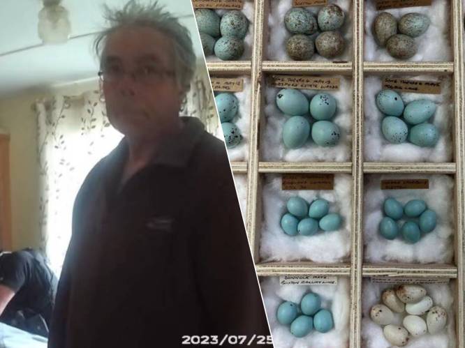 Brit (71) die constant eieren van wilde vogels steelt ontsnapt aan derde celstraf