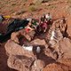 Fossiel van mogelijk grootste dinosaurus ooit gevonden in Argentinië
