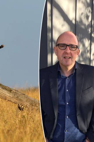 “Een safari zet al je zintuigen op scherp”: onze reisexpert tipt Kenia als authentieke en zeer betaalbare reisbestemming