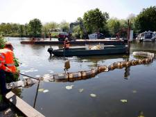 Riviertje de Giessen te veel ‘vervuild’ met cabomba en dus vangt het waterschap de plantjes op