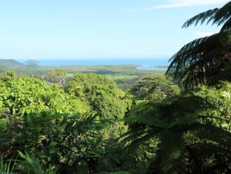Dit is Cape Tribulation: de enige plek ter wereld waar het rif en het regenwoud elkaar ontmoeten