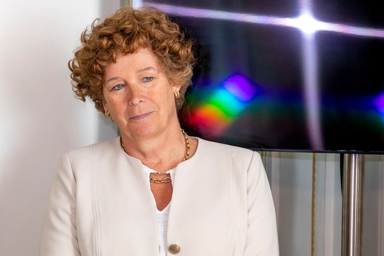 Vicepremier Petra De Sutter (Groen) pleit voor meer gespecialiseerde centra in België. Beeld BELGA