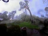 Bomen worden uit de grond gerukt door tornado in VS