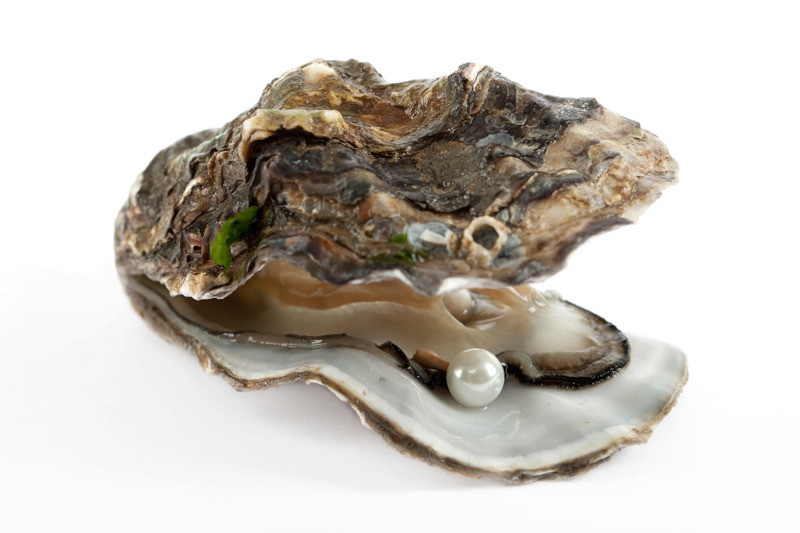 Hoe kwam die parel toch in de oester van chefkok Marco? ‘Ik dacht eerst dat het een gezwelletje