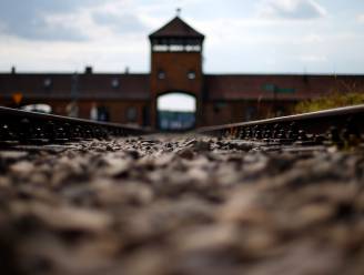 Schandaal in Auschwitz: Israëlische tiener plast op herdenkingsmonument