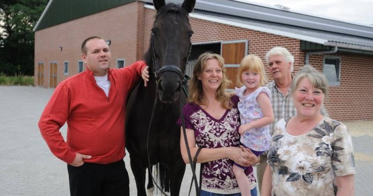 Horsetellerie: paard mee op vakantie | Hardenberg