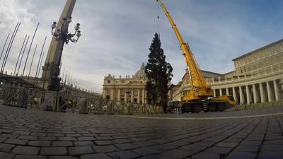 Levensgrote kerstboom staat weer in  Vaticaanstad