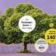 Bomen leven de samenleving niet alleen zuurstof op, maar ook keiharde euro's