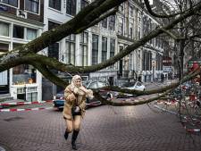 KNMI heeft code rood voor storm Eunice opgeheven: code geel nog van kracht in meerdere provincies