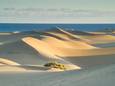 Duinen Gran Canaria