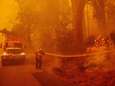 Evacuaties door bosbranden in heet Noord-Californië: al drie dagen op rij recordtemperaturen gemeten