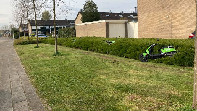 Elektrische deelscooters overspoelen Zwolle, maar daar is niet iedereen gelukkig mee
