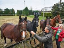 Oprukkende stad blijft Gerrit en Thea achtervolgen: verdwijnt voor vierde keer hun rust en ruimte?