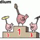 Humo's Rock Rally: de erelijst