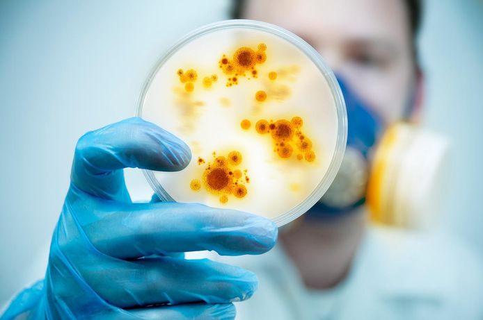 De WGO voegt "Ziekte X" toe aan de lijst met ziektes die een mogelijke pandemie kunnen veroorzaken.