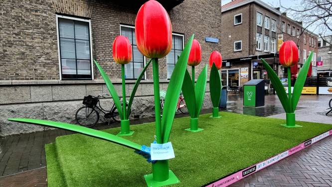 Vrolijke bloemen in Enschedese binnenstad al vernield voor start van de lente: ‘Opzettelijk ’s nachts kapot gemaakt’