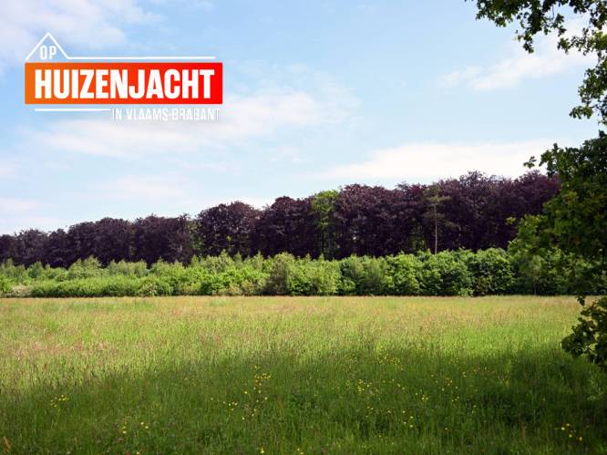 HUIZENJACHT. Oud-Heverlee, waar je je in de Ardennen waant: “Prijzen moeten niet onderdoen voor die in Leuven” 