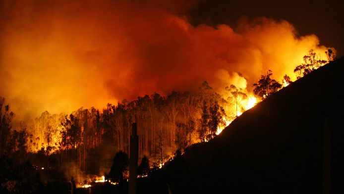 Les feux de forêt sont fréquents en Espagne (nord de l'Espagne en avril dernier
