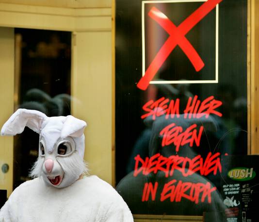Een dierenactivist verkleed als reusachtig konijn.