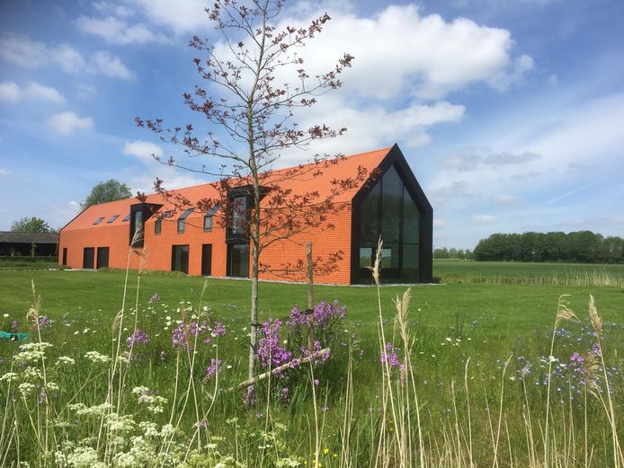 Plaats genoeg voor een festivalweide, aan Vakantiewoning Trimaarzate