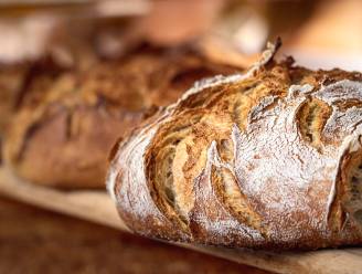 “Bakkers gebruiken nog steeds varkensvet als broodverbeteraar”: wat doet dit voor de smaak? En hoe weet je of het in jouw brood zit?