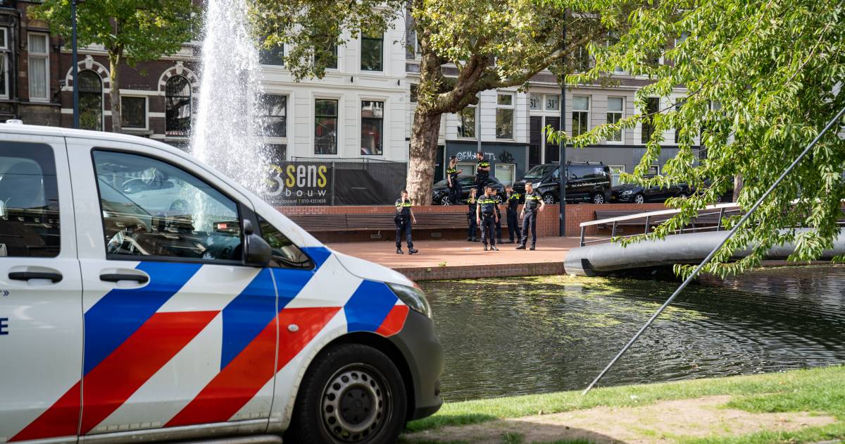 Man (34) gewond bij steekpartij Rotterdam-Centrum: 38-jarige vrouw aangehouden .