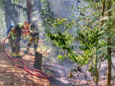 Brandweer op scherp: vrijwilligers én bluswagens staan klaar om bosbranden te lijf te gaan