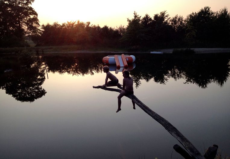 Twee kinderen zitten op een tak op natuurcamping Landgoed Ottermeer. Beeld Arie Kievit / de Volkskrant