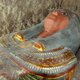 Archeologen vinden in Egypte prachtige sarcofaag met mummie van meer dan 2500 jaar oud
