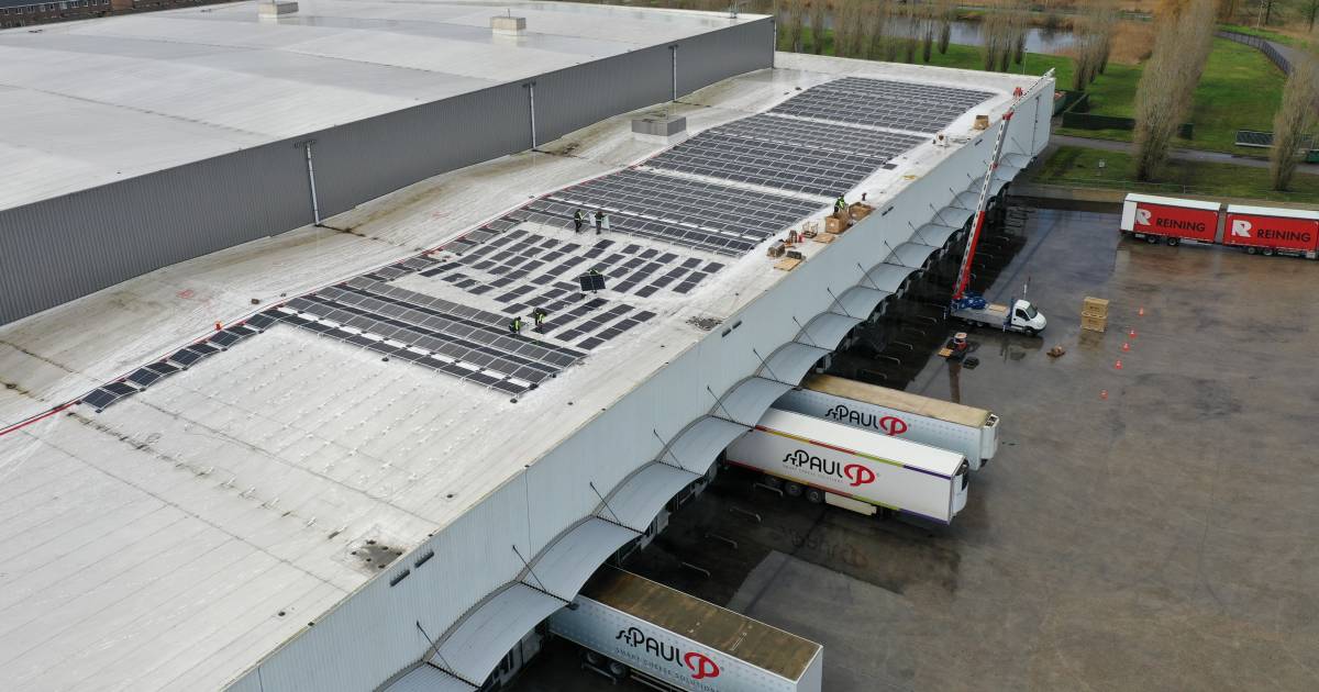 Smeltkaasbedrijf St. Paul investeert fors in Sint Jansteen, mogelijk honderd banen erbij