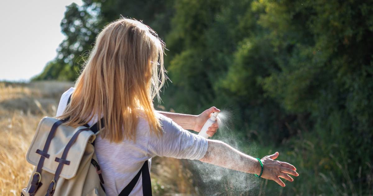 Sempre più persone evitano la natura per paura.  Cattiva idea Secondo i ricercatori: “Dopo 2 ore, il tuo corpo sta già ricevendo una spinta” |  Nina