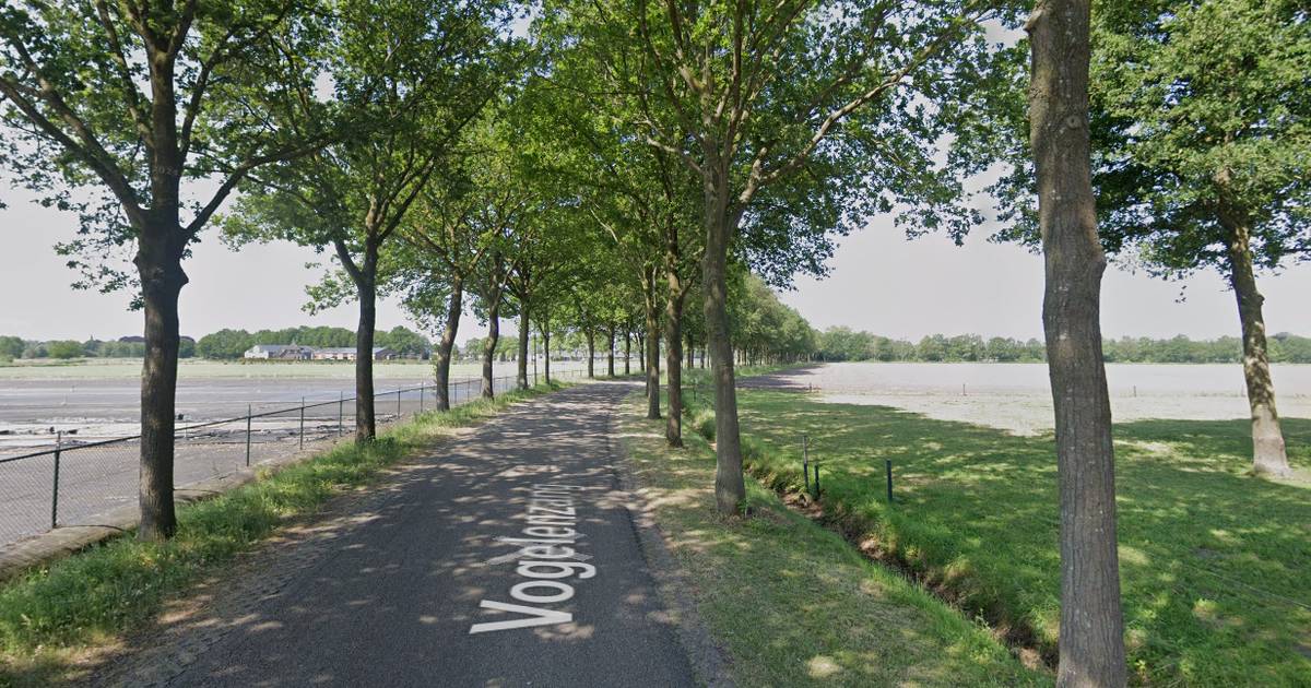 Tiener overlijdt na ongeval in Erp: motorclub vraagt om erehaag ter nagedachtenis.