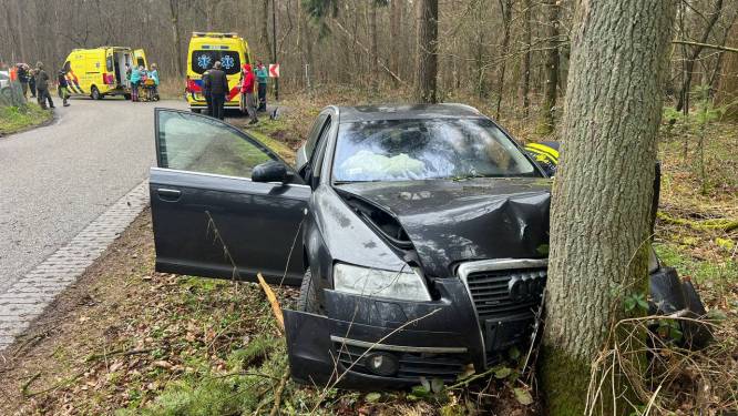 Auto knalt tegen boom in ‘gevaarlijke bocht’ bij Beekbergen: drie mensen naar ziekenhuis