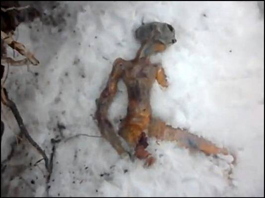 Veel valse meldingen worden op het internet meteen ontkracht. Deze dode alien uit Rusland ging al snel viraal op het internet.