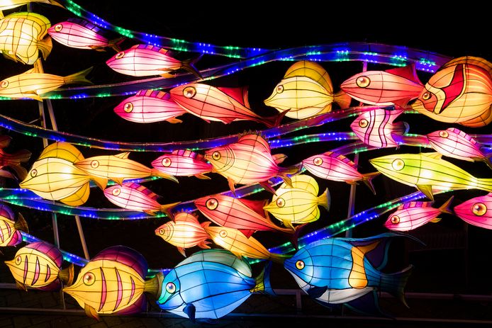 Het China Light Festival in Ouwehands Dierenpark in 2019.