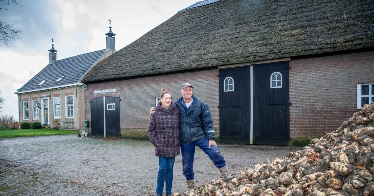 Akkerbouwers Daan en Andien Goense uit Driewegen: ‘Er is nooit bewezen dat biologisch beter of gezon