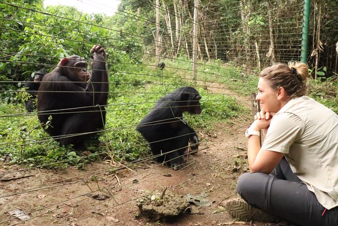 Zenzi bij het verblijf van de chimpansees in Kameroen