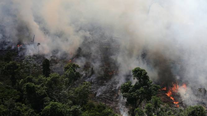 Enorme inferno in Brazilië: vuurzee in Amazone door ontbossing