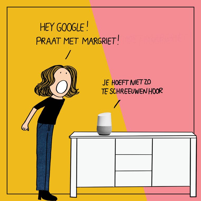 Google Home Beeld Margriet