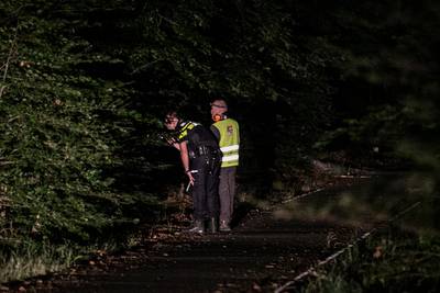 Losgebroken stier in Ede ontkomt aan nachtelijke klopjacht