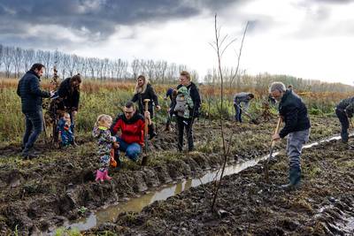 Het geboortebos in Liempde groeit: ‘Extra belangrijk om bezig te zijn met duurzaamheid na de verkiez