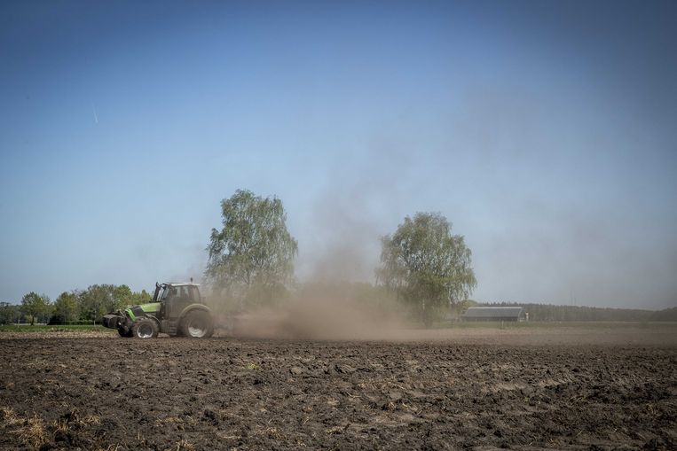 Opwaaiend stof bij het ploegen van een akker in het landbouwgebied bij de Sallandse Heuvelrug. Beeld ANP