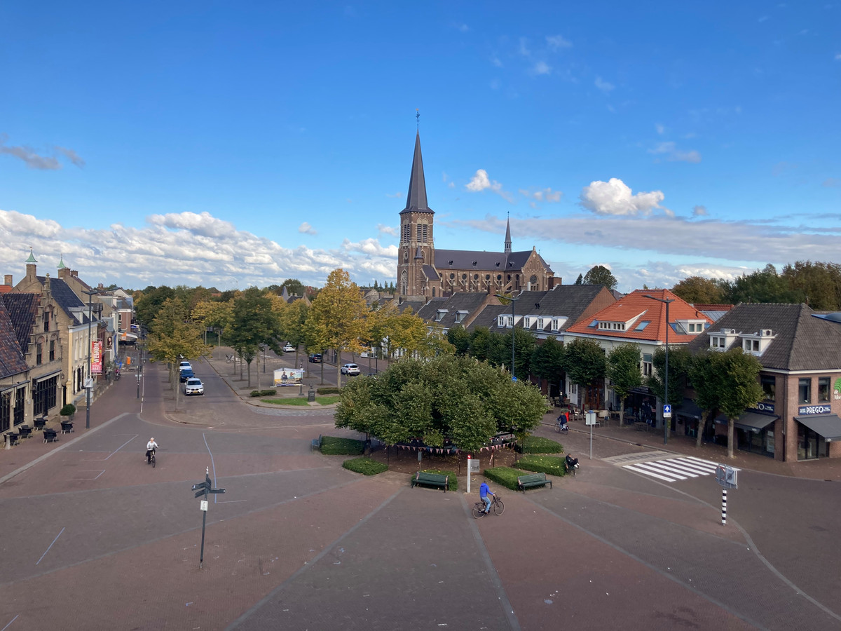 EttenLeur is trots op haar Boom van het Jaar ‘Heel veel mensen hebben